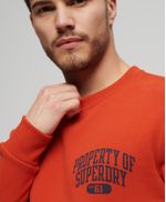 Buzo-Cerrado-Para-Hombre-Athletic-Script-Flock-Sweat-