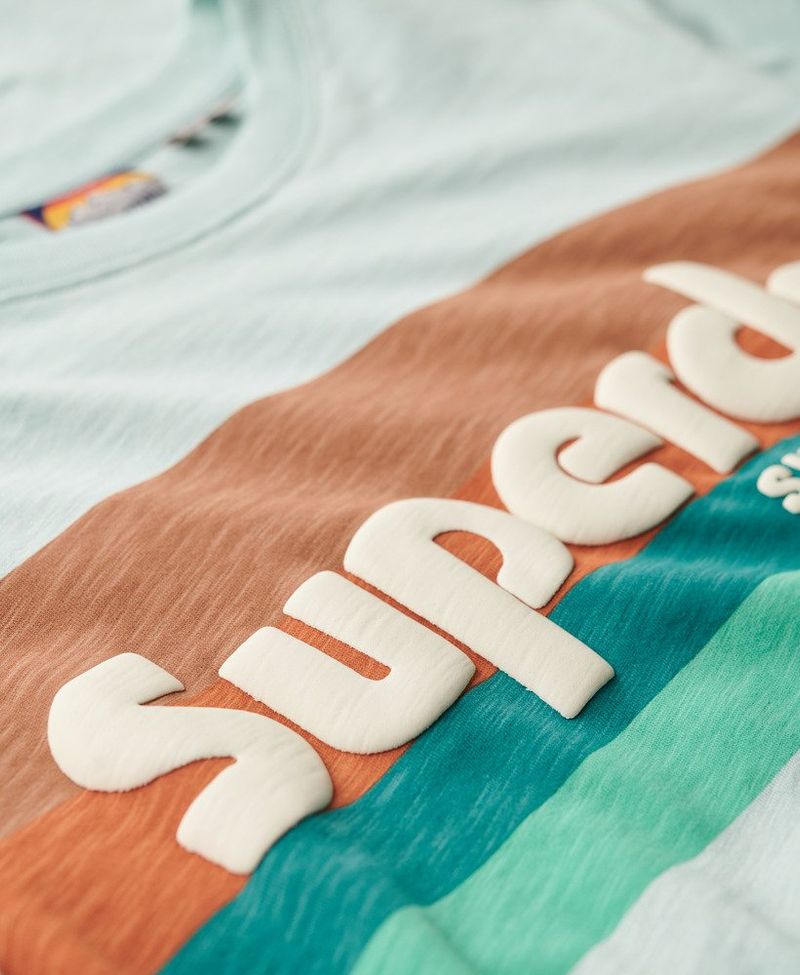 Camiseta-Manga-Corta-Para-Hombre-Terrain-Logo-Stripe-Relxed-Tee