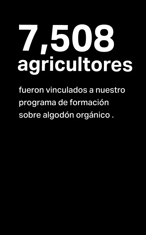 7508 agricultores vinculado​